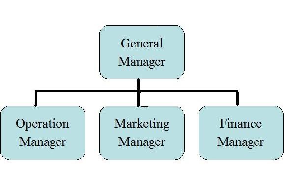 organizational chart business plan