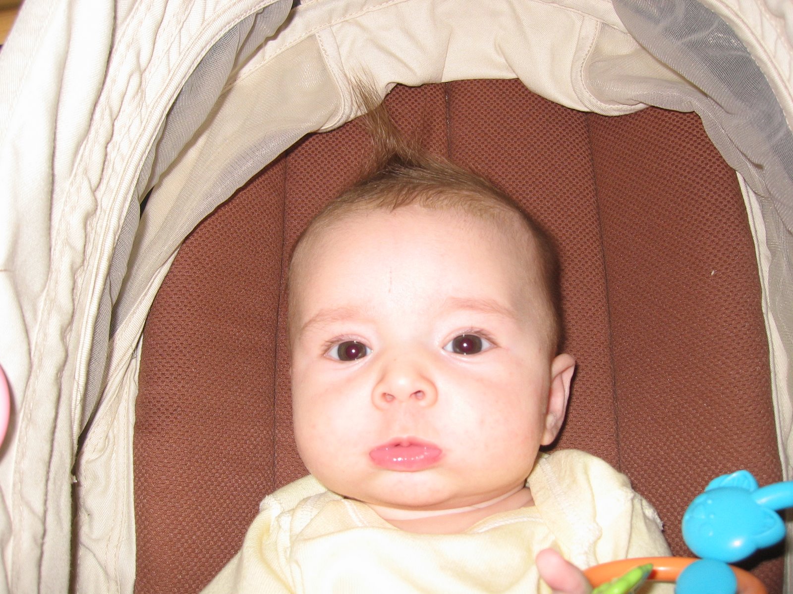 [Love+those+cheeks.JPG]