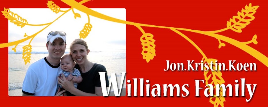 The Williams' Family