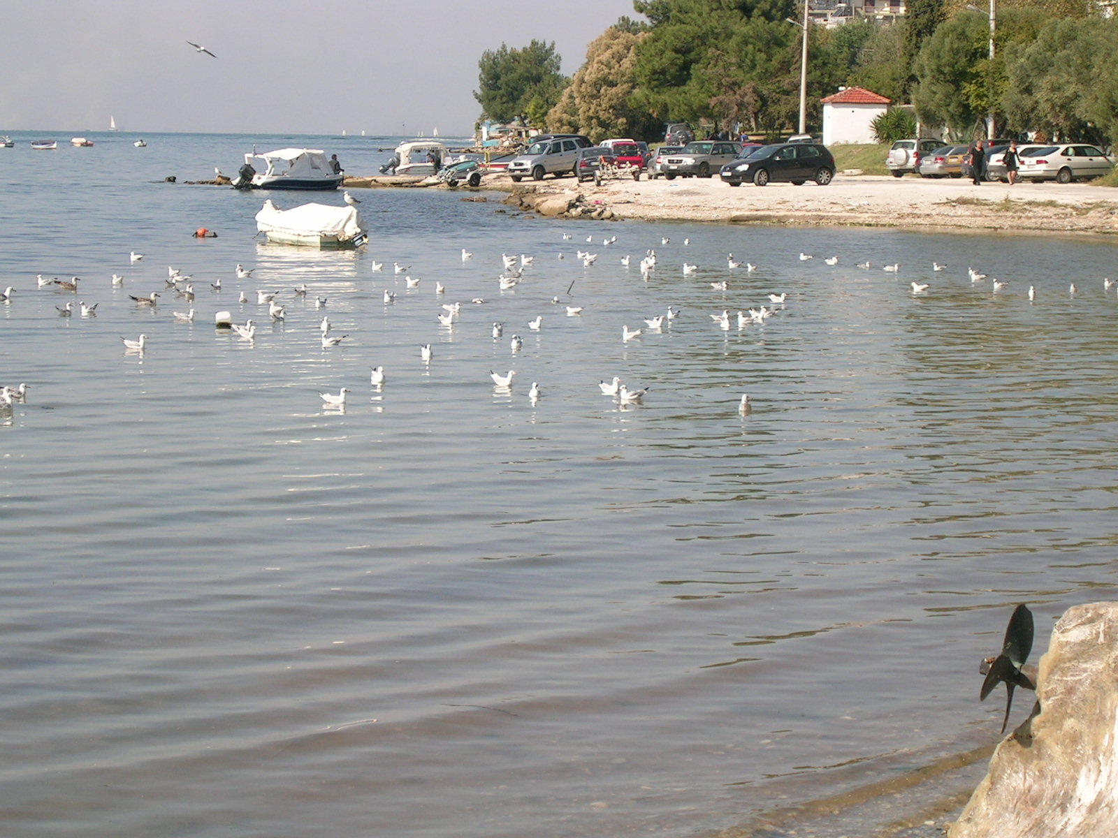 [ΑΝΟΙΞΗ+2009+630.jpg]