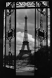 institut gustave eiffel