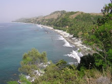 Costa de Flores