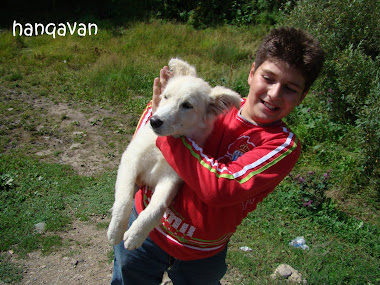 hanqavan AreG and hiS doG