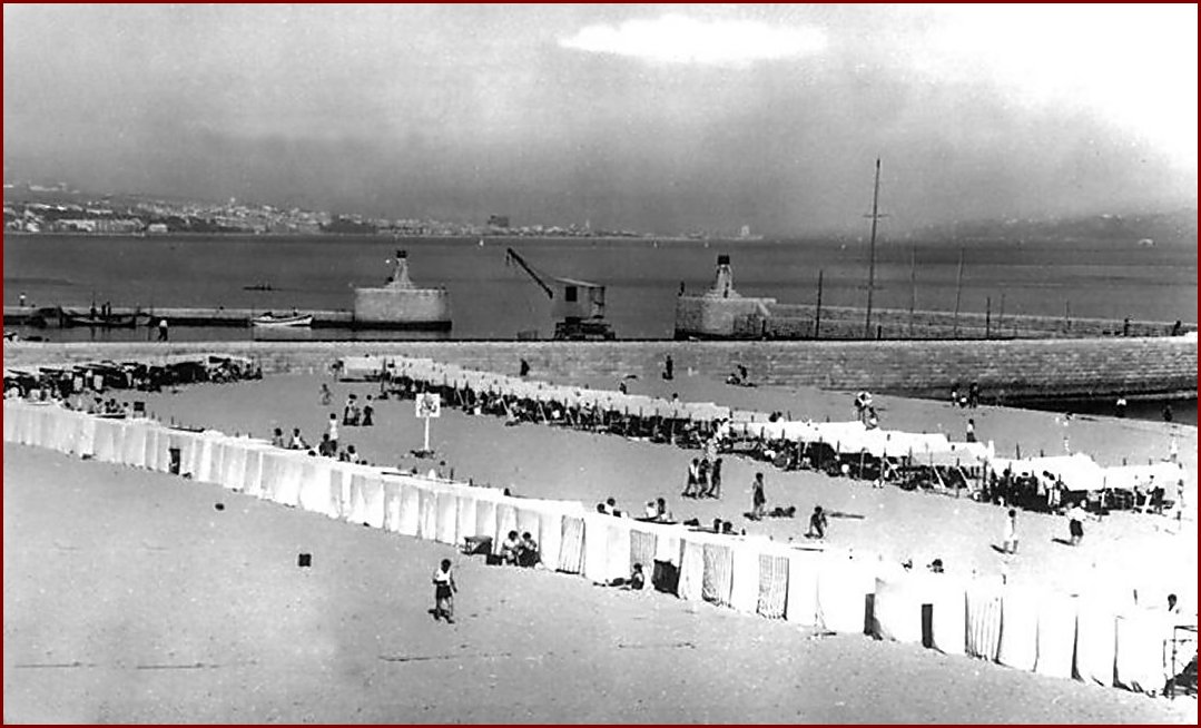 [Image70+a.jpg]