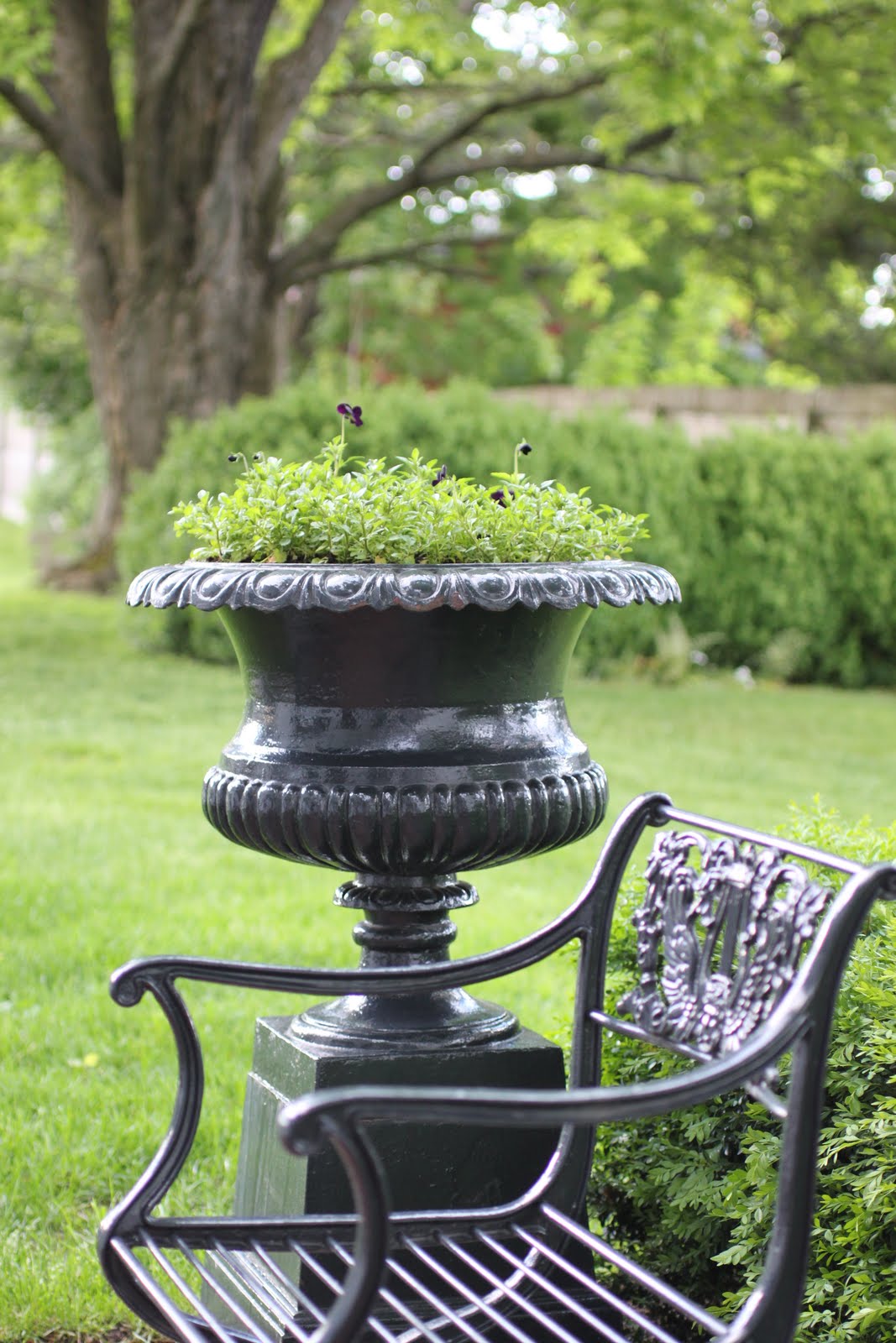 Reggie Darling The Urns of Darlington Spring