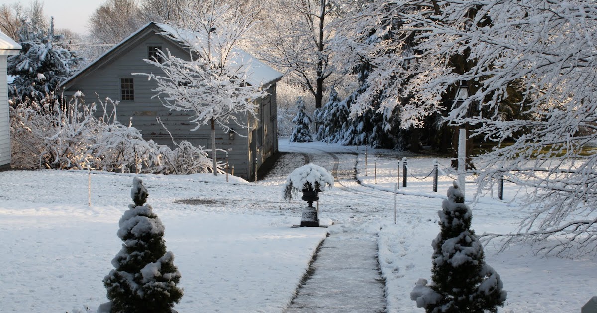 Reggie Darling Preparing Darlington for Winter