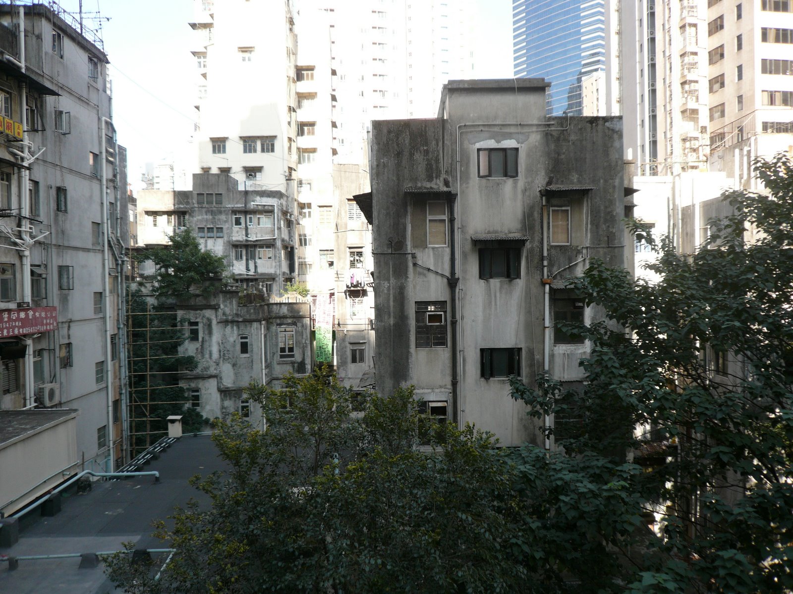 [P1030197.JPG]