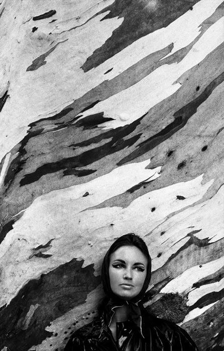 [Cheyenne-Tree-Trunk-02.jpg]