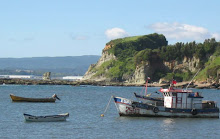 CALETA EL BLANCO, LOTA ALTO