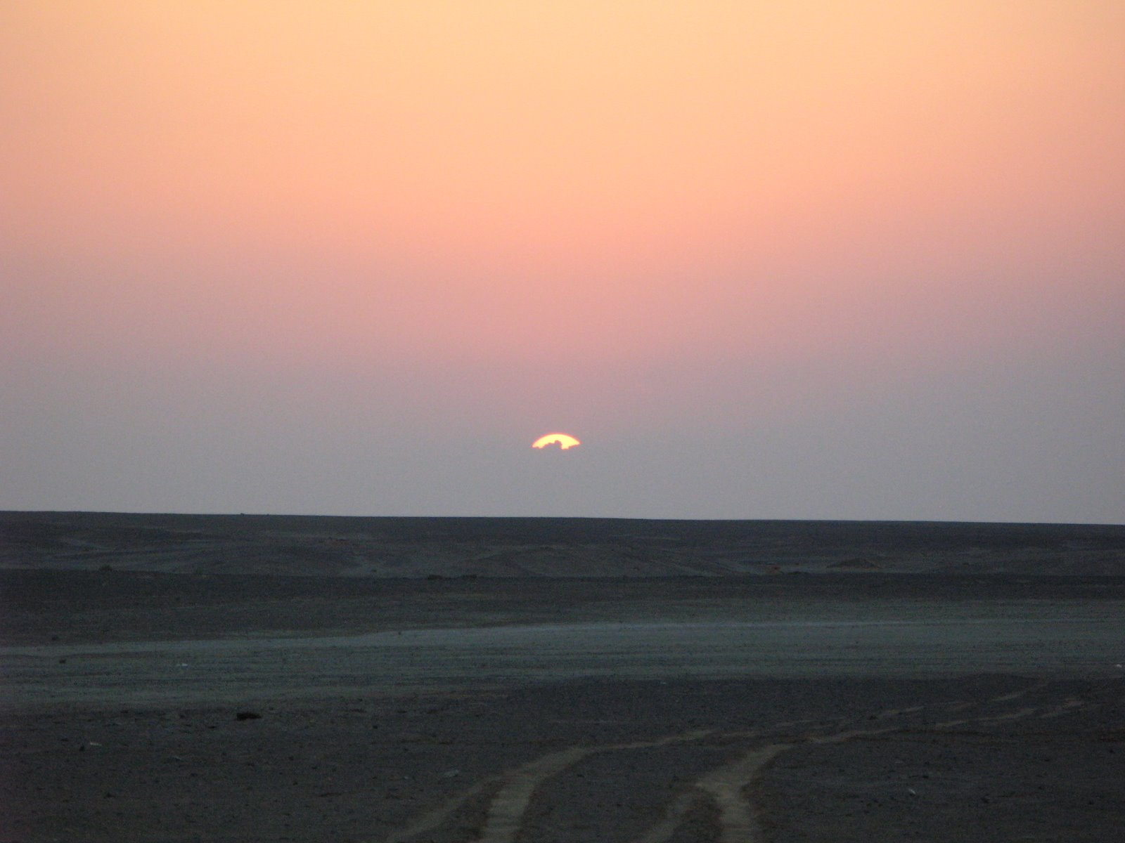 [IMG_0354.JPG]
