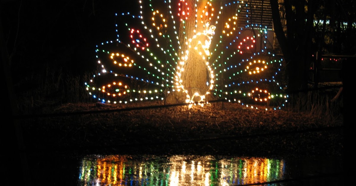 What is life? The Stone Zoo zoo lights