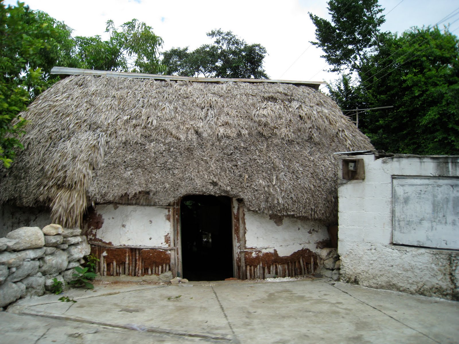 mayans homes
