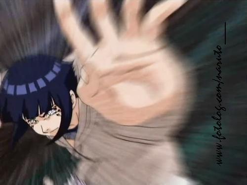 [sem+imagem.jpg]