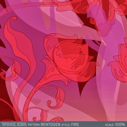 [wook+kim+rentogen+detail.jpg]