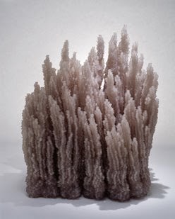 [Donovan+Full.ashx.jpeg]