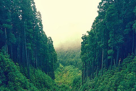 [11171c4f1b46b05304ea31efc030b49d8e8a5a3f_m.jpg]