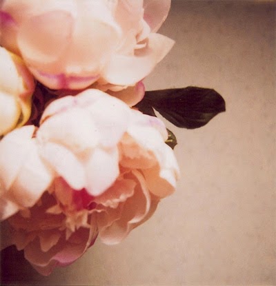 [thisisglamorous3.jpg]