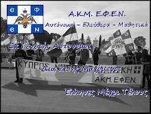 A.K.M E.Φ.Ε.Ν Λαρνακας