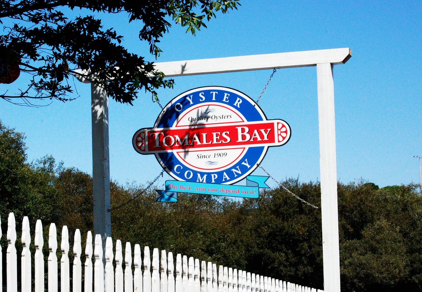 TNT ADVENTURES Tomales Bay Oyster Company Marshall