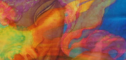 Transparencias Detalle