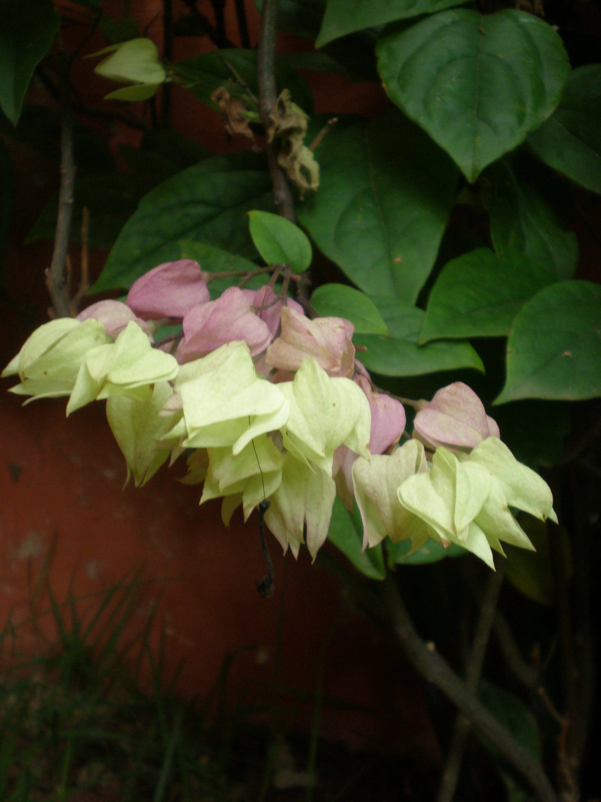 [P1230079.JPG]