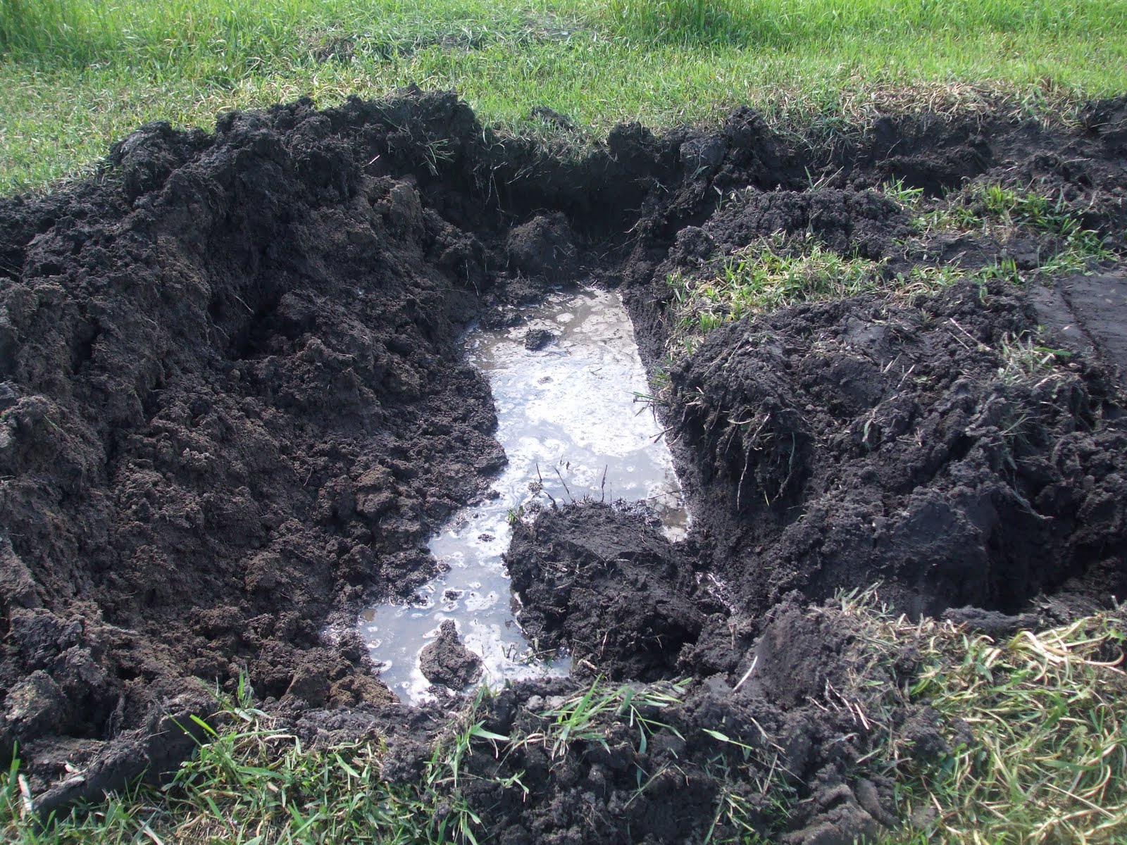 4 + 5 = 9 Water Line Leak In Our Back Yard