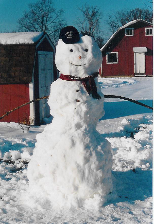 pics of snowman. Snowmen… there are not 