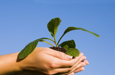 save environment plant