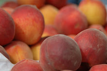 chilton county peaches