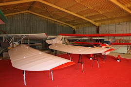 Les ailes sont peintes