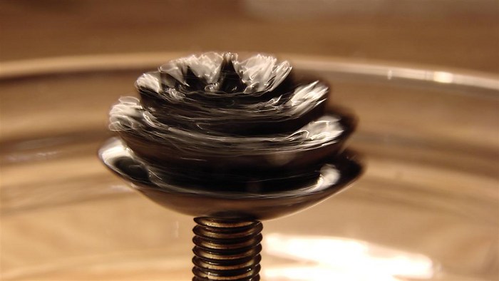 [269727694_6_HOLC.jpeg.jpg]