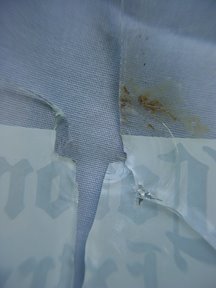 [DSC01760S.jpg]