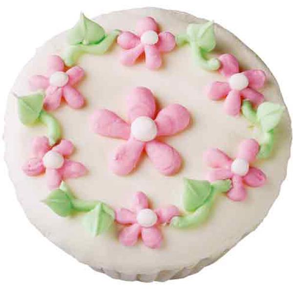 AKIN PASTACILIK MALZEMELERİ BAHÇELİEVLER/BAKIRKÖY/BEYLİKDÜZÜ Muffin