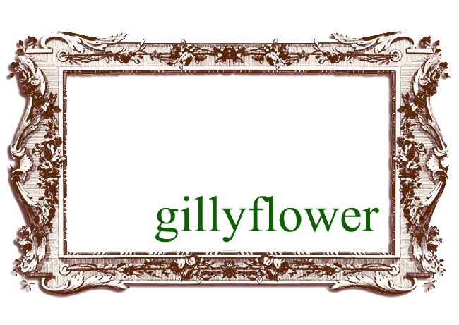 gillyflower