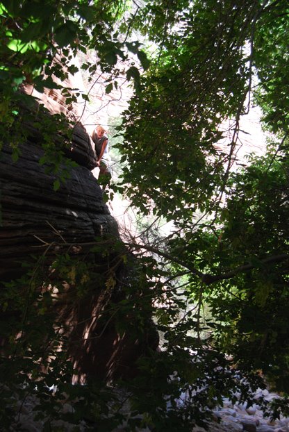 [Intrepid_Traveling_8_08FOREST_ZION]