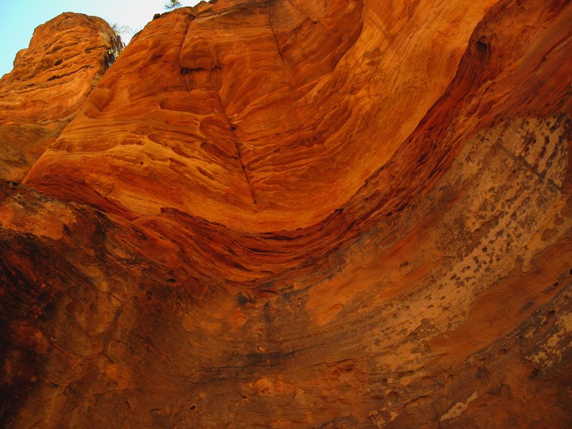 [Intrepid_Traveling_8_08ZION_1]