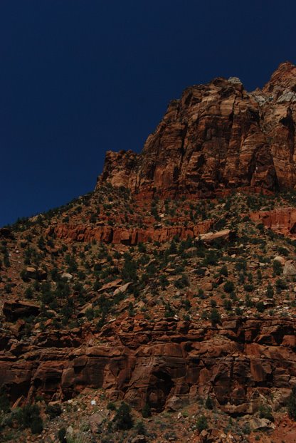 [Intrepid_Traveling_8_08ZION_2]