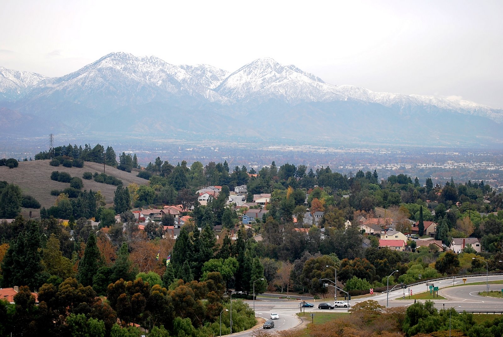 Original Skrip Election District 5 Pomona, Phillips Ranch, Westmont