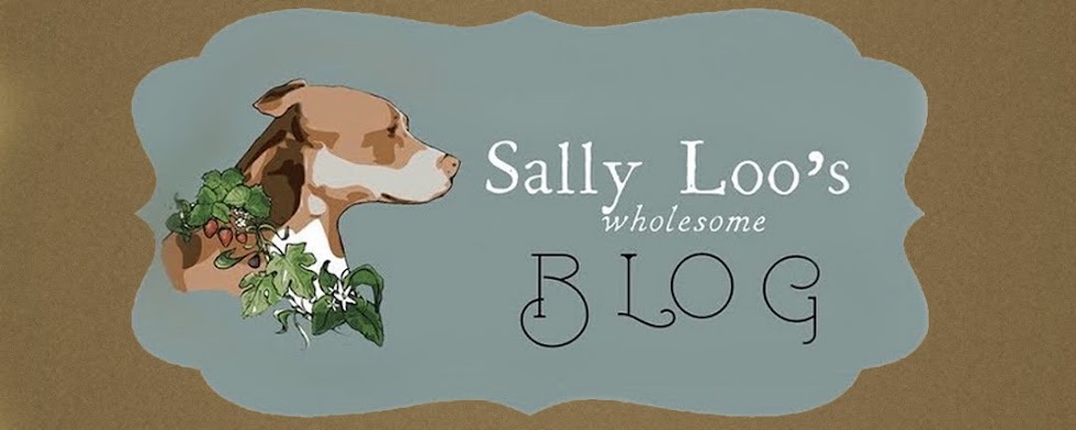 Sally Loo's Wholesome Cafe