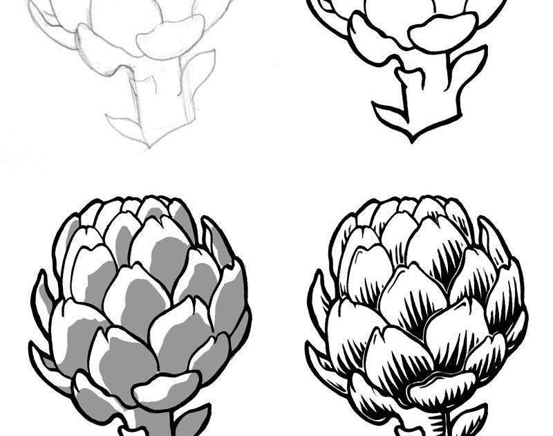 Octopus Ink How To Draw An Artichoke In A Style That Makes It Look