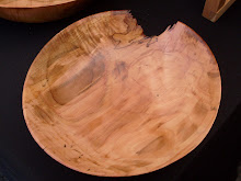 Spalted Maple with void