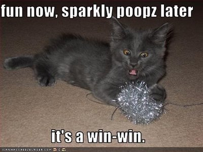 Lol+Cat+Sparkly+Poopz+untitled.jpg#lol%20cats