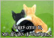 He aprendido que tanto escribir como hablar puede aliviar los dolores emocionales.