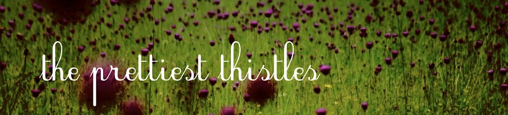 the prettiest thistles