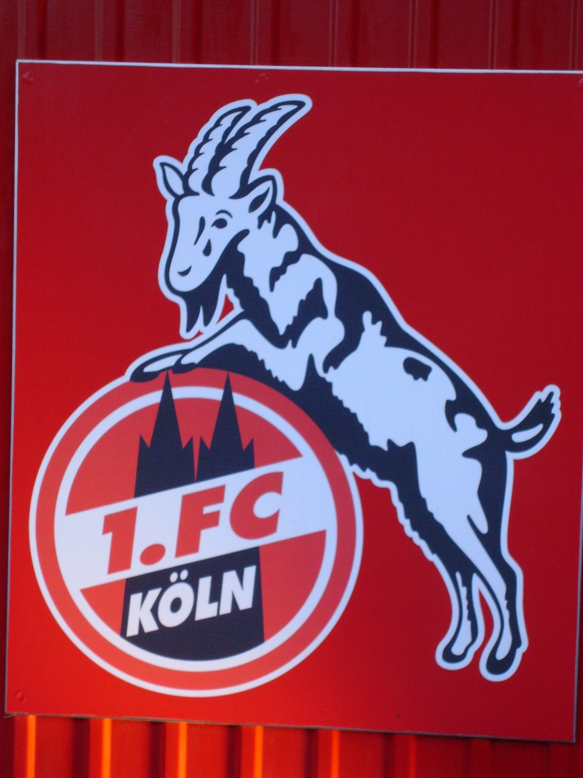 [fc+köln+002.jpg]