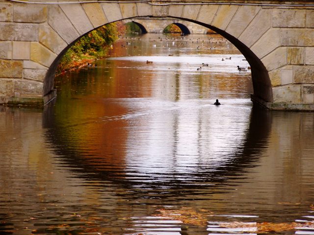 [2007_01060299.JPG]