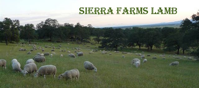 Sierra Farms Lamb