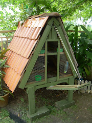 Du-plex Bunny Hutch (Hand-made)