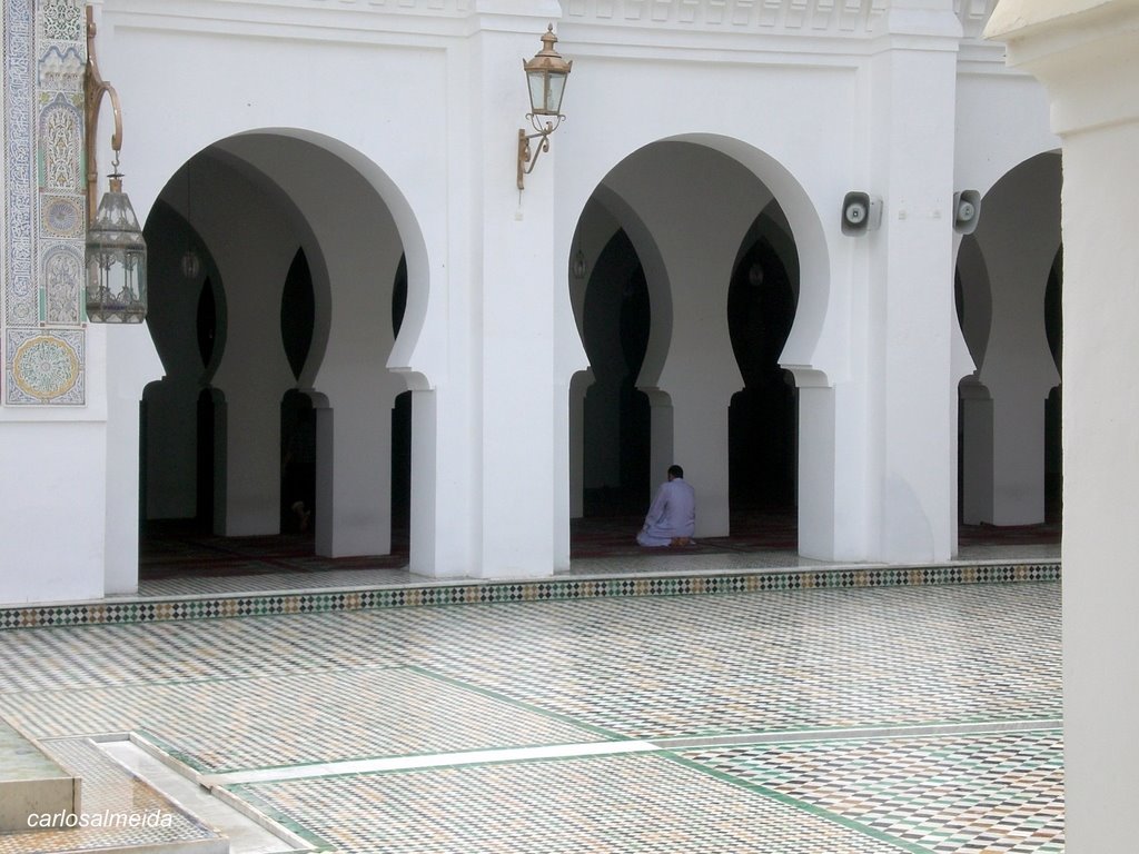 [CIMG8174-1.JPG]