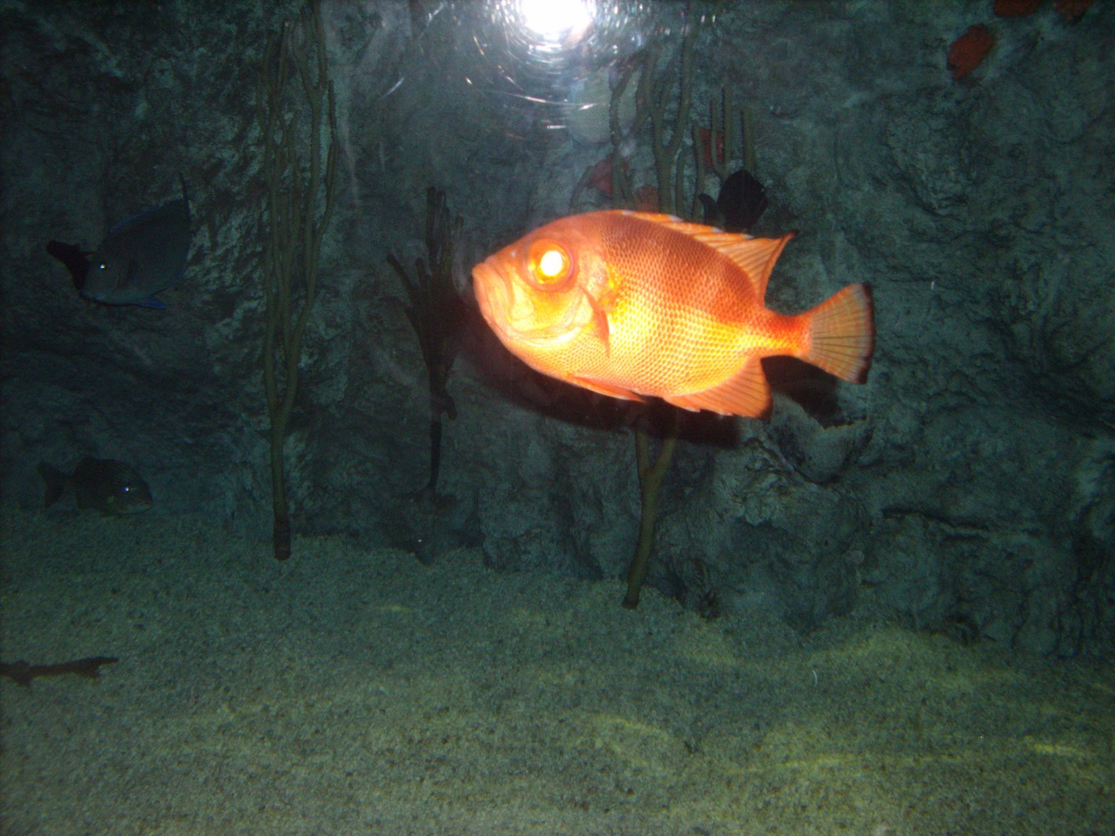 [GEDC0071.JPG]